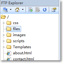 Ftp Explorer